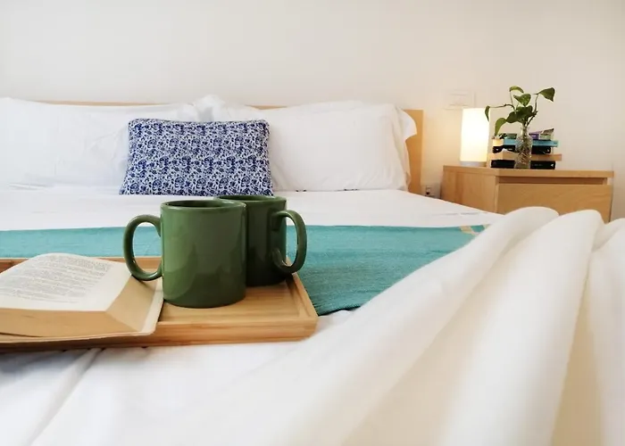 Holihome_chicky House Frn * Alba Adriatica